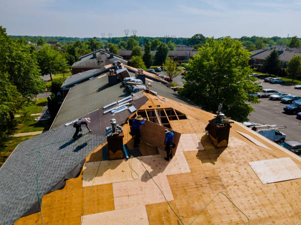 Trusted Roof Replacement service in Bloomington, MD - Brentwood Metal Roofing